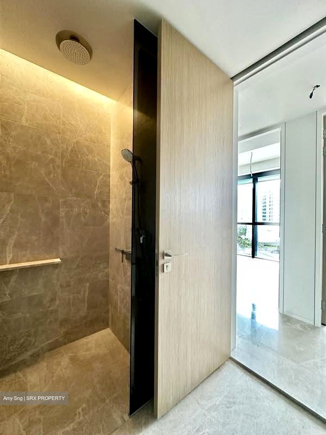 Amber Park (D15), Condominium #624784991